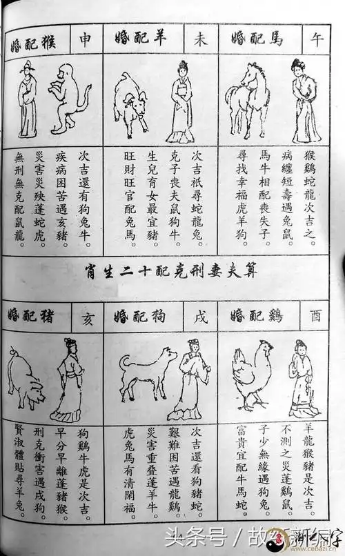 三世书丨从夫妻生肖算五行生克关联