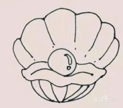 珍珠贝壳简笔画