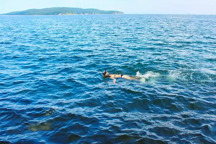 游泳图片_游泳高清图片_全景视觉