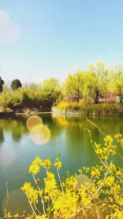 62幅大自然美景,如入仙境一般,令人心旷神怡