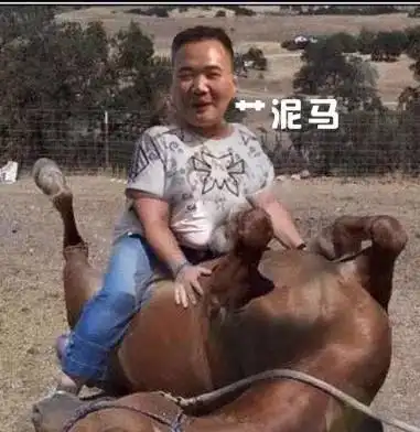 哥们求大神p点头发的结局,看到这些搞笑p图心情瞬间好多了!