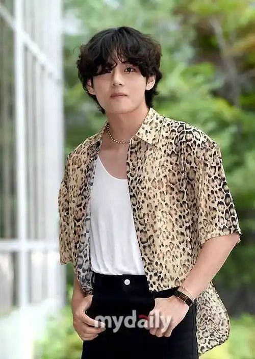 搜狐韩娱讯 防弹少年团成员v被爆料近日在墨西哥秘密参加了罗英锡pd