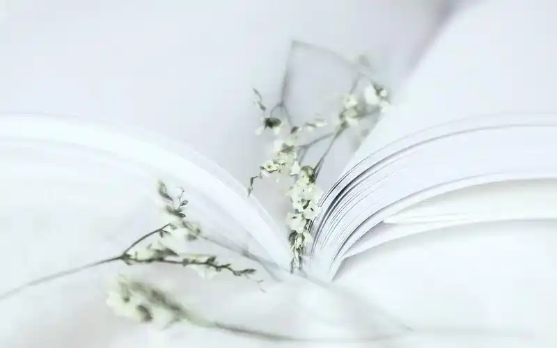 静谧时光小清新简约白色桌面壁纸