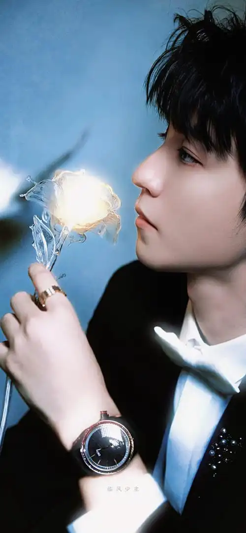 神性的浪漫9415    王俊凯壁纸#王俊凯和鸽子合照