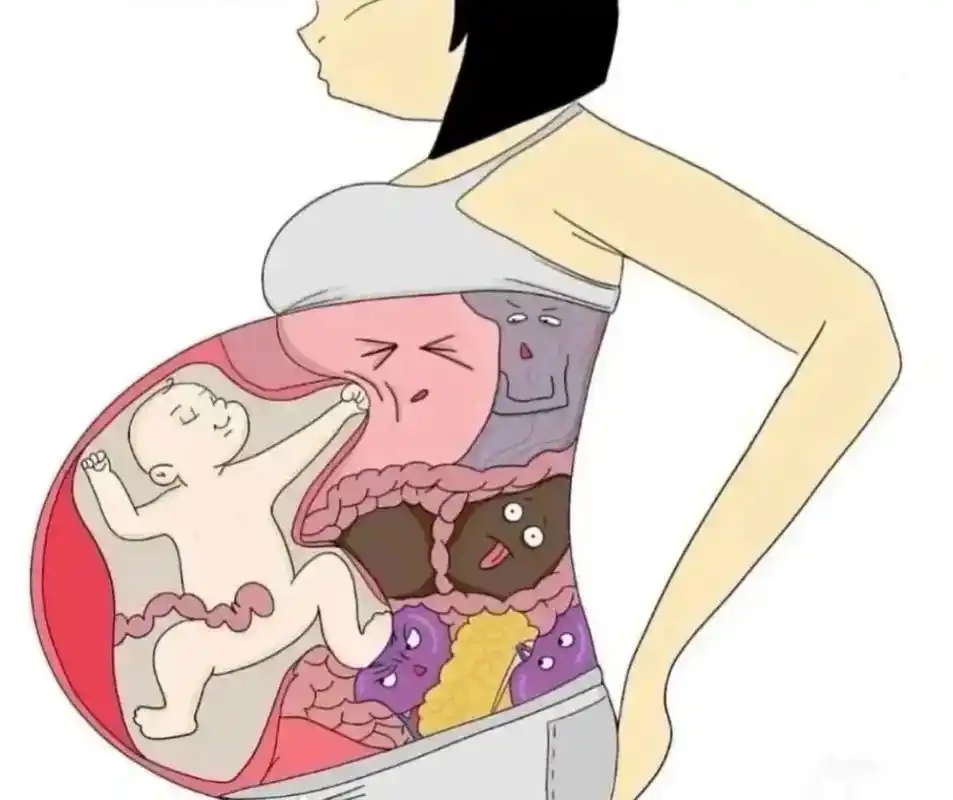 我整个孕期都是一个臀位,一个横位