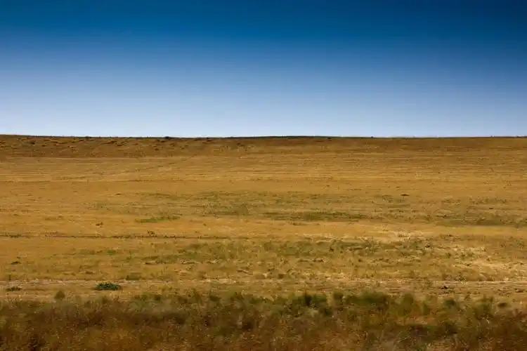 哈萨克斯坦的干草原
