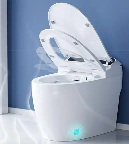 智能马桶_horow 希箭 s23系列智能马桶(包安装拆旧) 标准版 坑距300mm