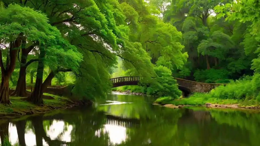 自然风景 by-江湖百晓堂