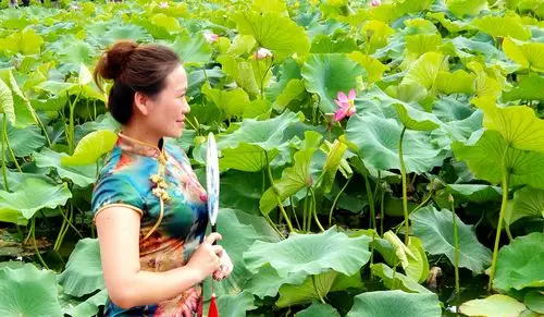 《旗袍美人秀,清新夏荷香》 摄影作品集
