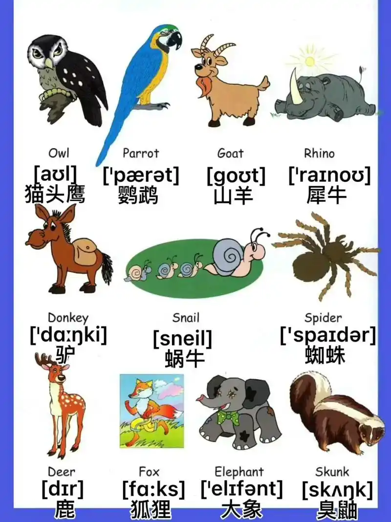 学会用英语说100种动物名(一)