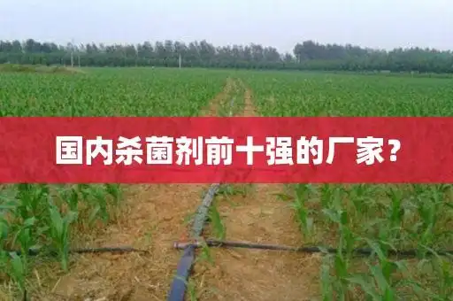 西北:美邦集团,康禾立丰,蔬菜特色:潍坊亿嘉集团,山东禾宜.