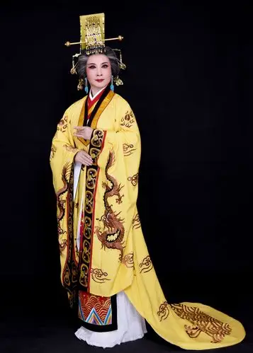 更是当代中国豫剧成就斐然的典型代表人物