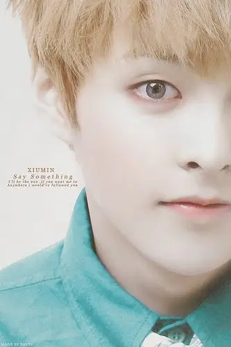 有exo12个人的这样的图咩谢谢