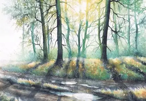 清新水彩画 手绘 树木 森林 植物 意境 清新… - 堆糖,美图壁纸兴趣