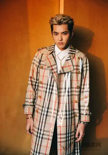 吴亦凡亮相2017微博之夜 并获封"年度影响力音乐人物"