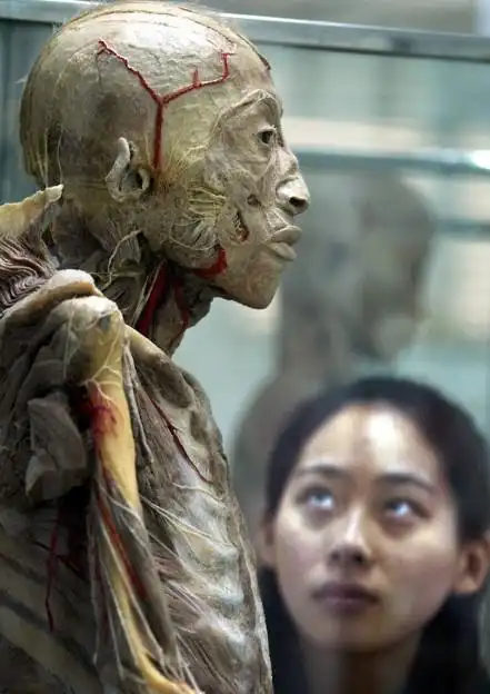 恐怖慎入实拍恐怖的尸体加工厂