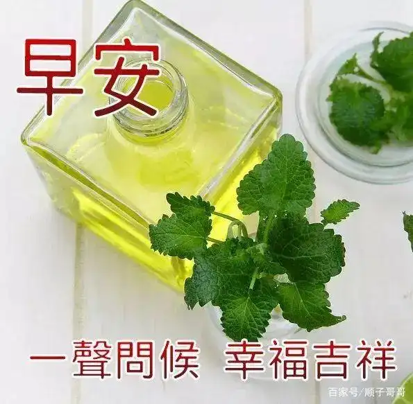 11月12日漂亮早上好表情图片带鲜花 2021最新版早上好动态图片