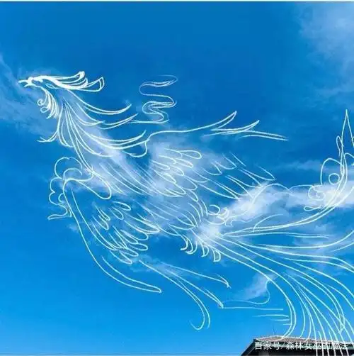 那就祝他如凤凰涅盘般,继续飞向更辽阔的天空.