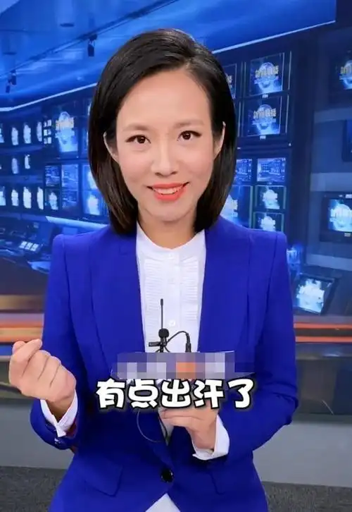 央视美女主持人宝晓峰生活照,网友:长相不算特别惊艳,但有特点_网易
