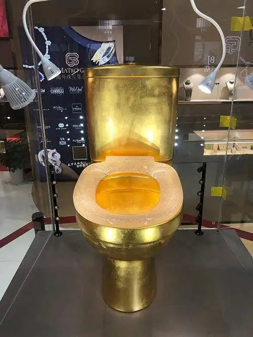 其实,这个黄金马桶并非独创,之前世界上就有黄金马桶问世,而且具有