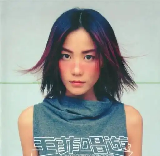 音乐推荐——王菲《浮躁》