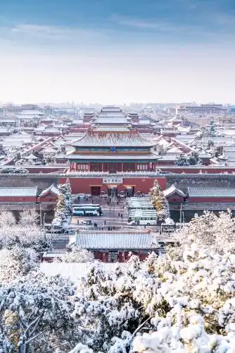 鸟瞰故宫全景 寒冷