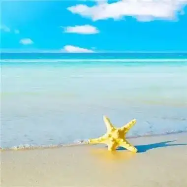 微信最吉利的好看头像转运 给自己带来好运的图片风景