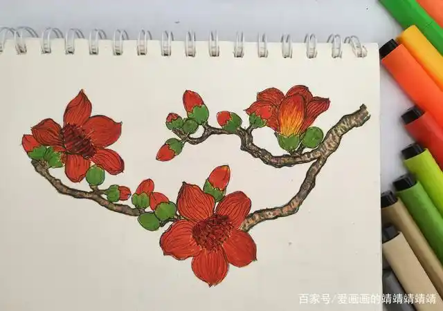 这个春天一起来画画吧,木棉花详细过程图来啦~快来看看吧