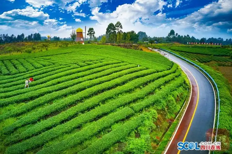 雅安市名山区被评为四好农村路全国示范县