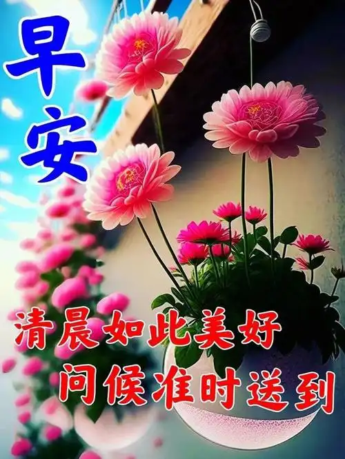 亲情友情满满,知道你安好,我的心便安心,祝你健康平安,早上好