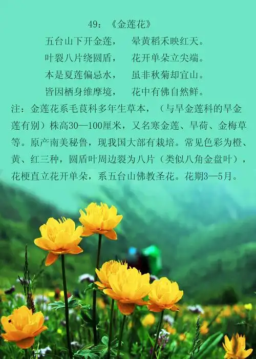 诗情花语(群芳谱之二)