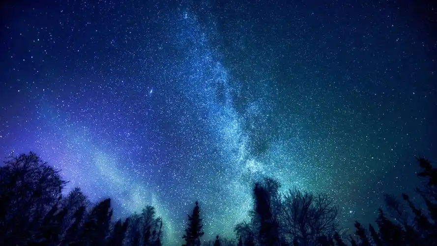 森林 树 神秘 银河系 星星 4k星空风景壁纸
