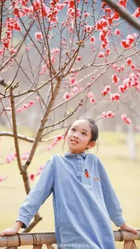 莫婵怡全国歌迷会