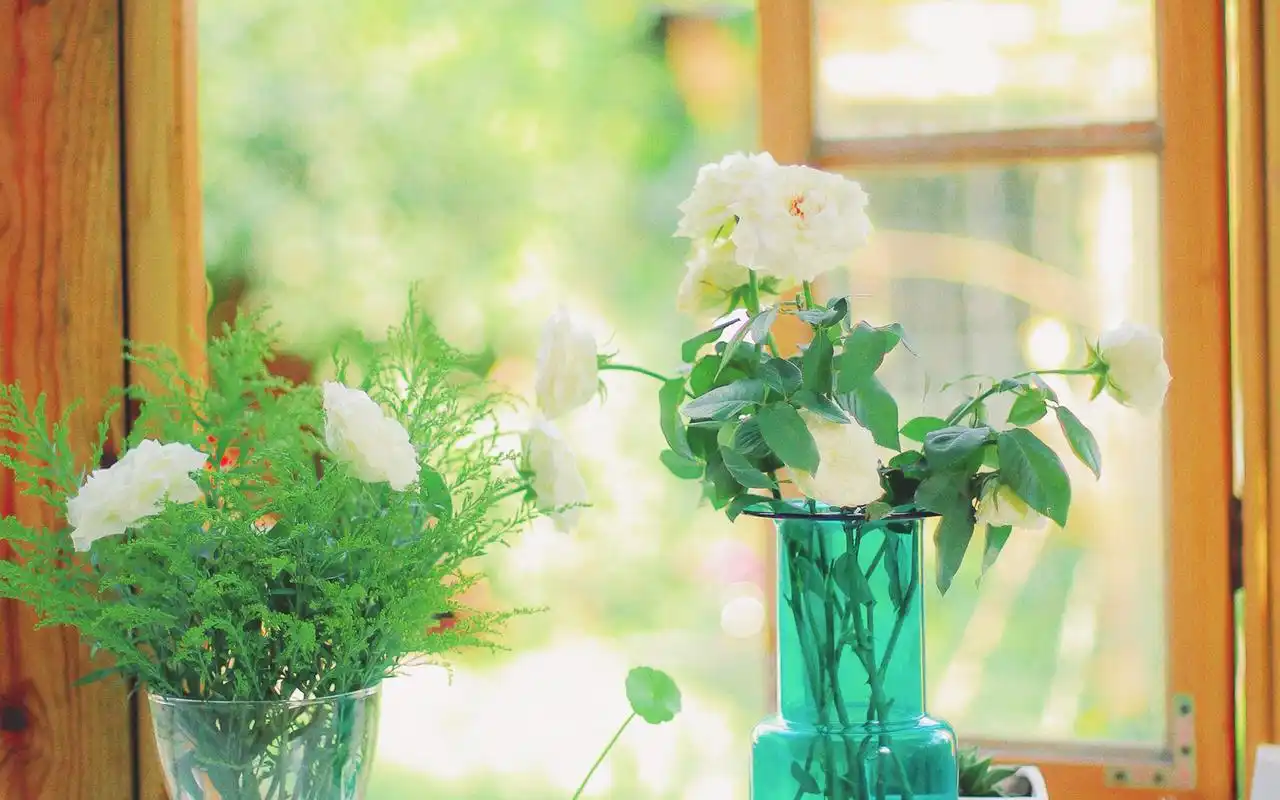 日系胶片感图片高清电脑桌面壁纸高清大图预览1920x1200_风格壁纸下载