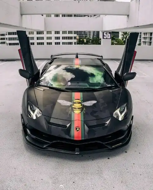 兰博基尼大牛svj?