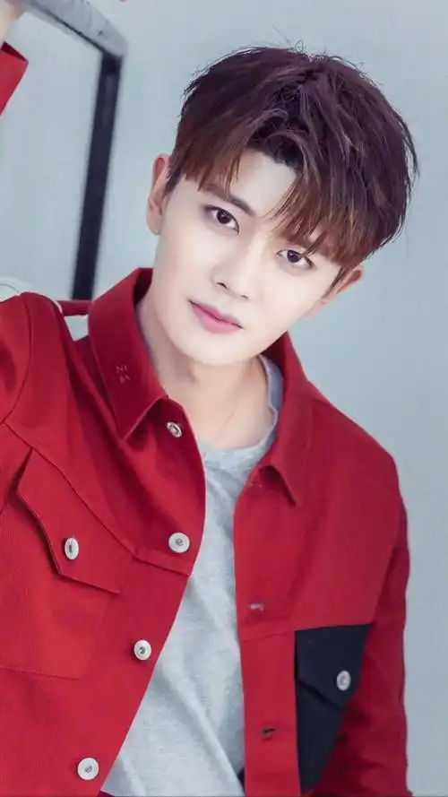 手机壁纸任嘉伦