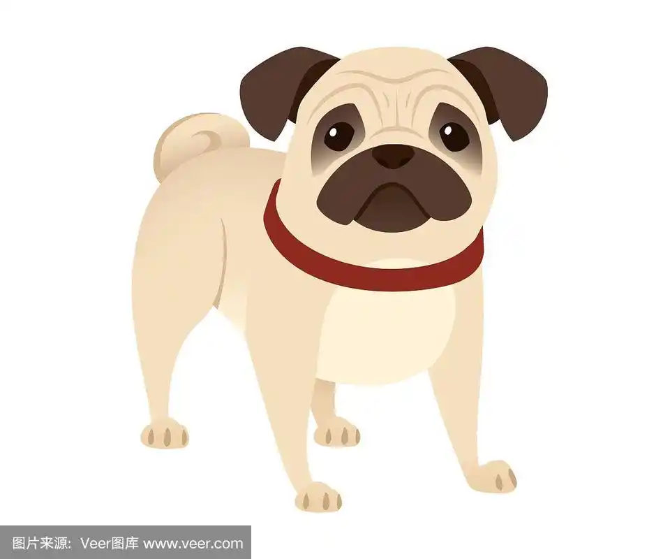 可爱的小友好的哈巴狗卡通家养动物设计平面矢量插图孤立在白色的背景