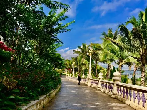 西双版纳集锦之五:景洪市景