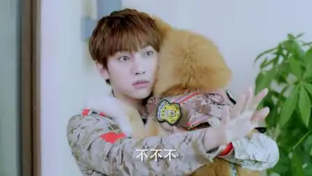 神犬小七:求婚戒指被山神吞下,妹子想要跳楼