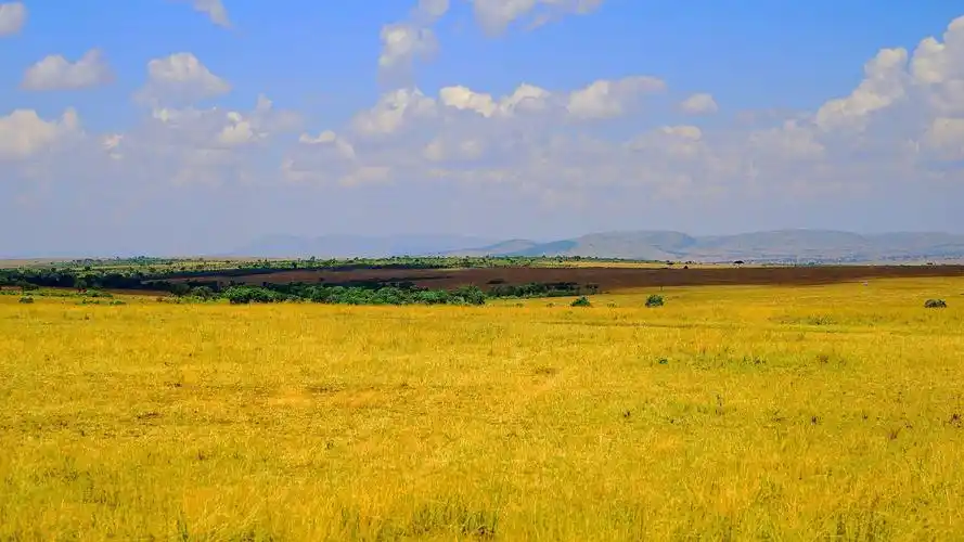 东非大草原 一个野趣盎然的地方之下篇