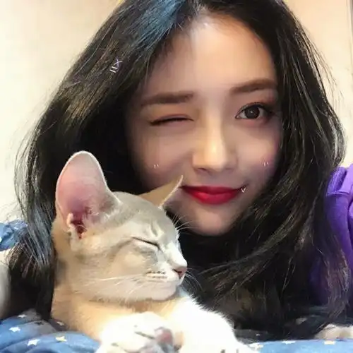 周洁琼头像 禁二改盗图