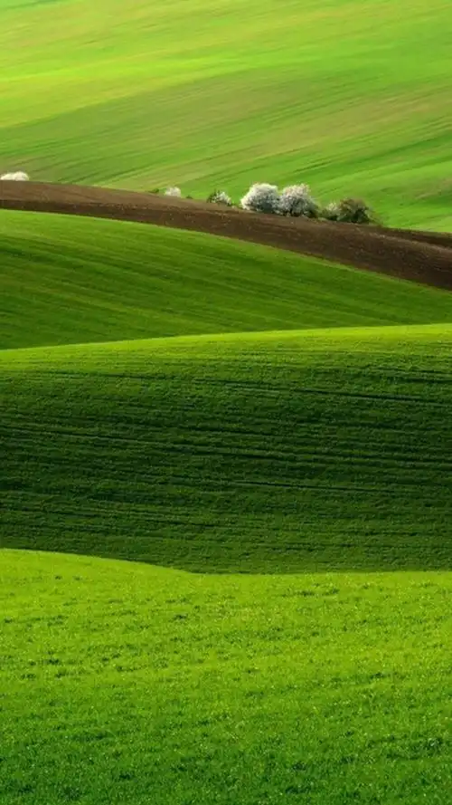 辽阔的大自然草原风光,锁屏图片,高清手机壁纸,风景-回车桌面