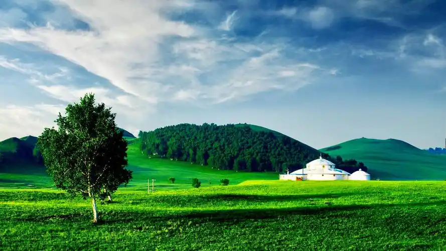 《美篇专栏》507 集· 一望无垠的美丽大草原