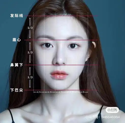 美学标准三庭五眼四高三低