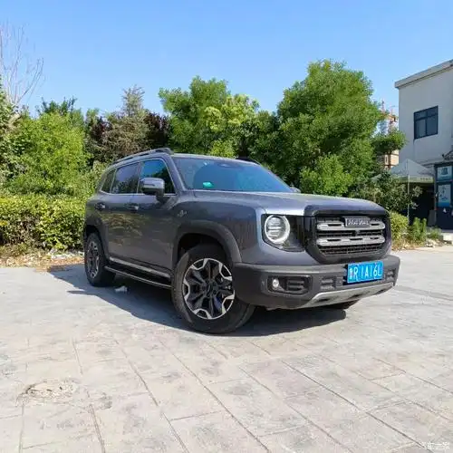 【图】你们觉得大狗怎么改色好看_哈弗大狗论坛_汽车之家论坛