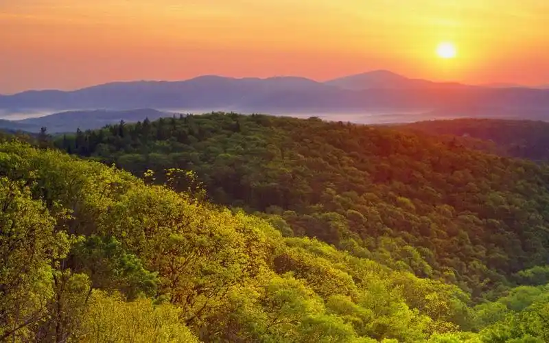 清新自然风景图