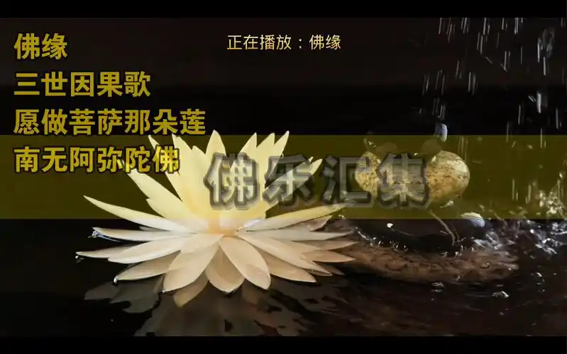 佛乐汇集: 佛缘 三世因果歌 愿做菩萨那朵莲 南无阿弥陀佛