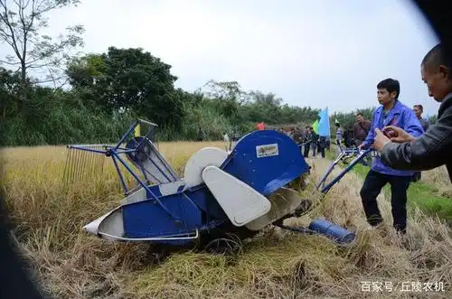 国产小型水稻收割机现场演示会