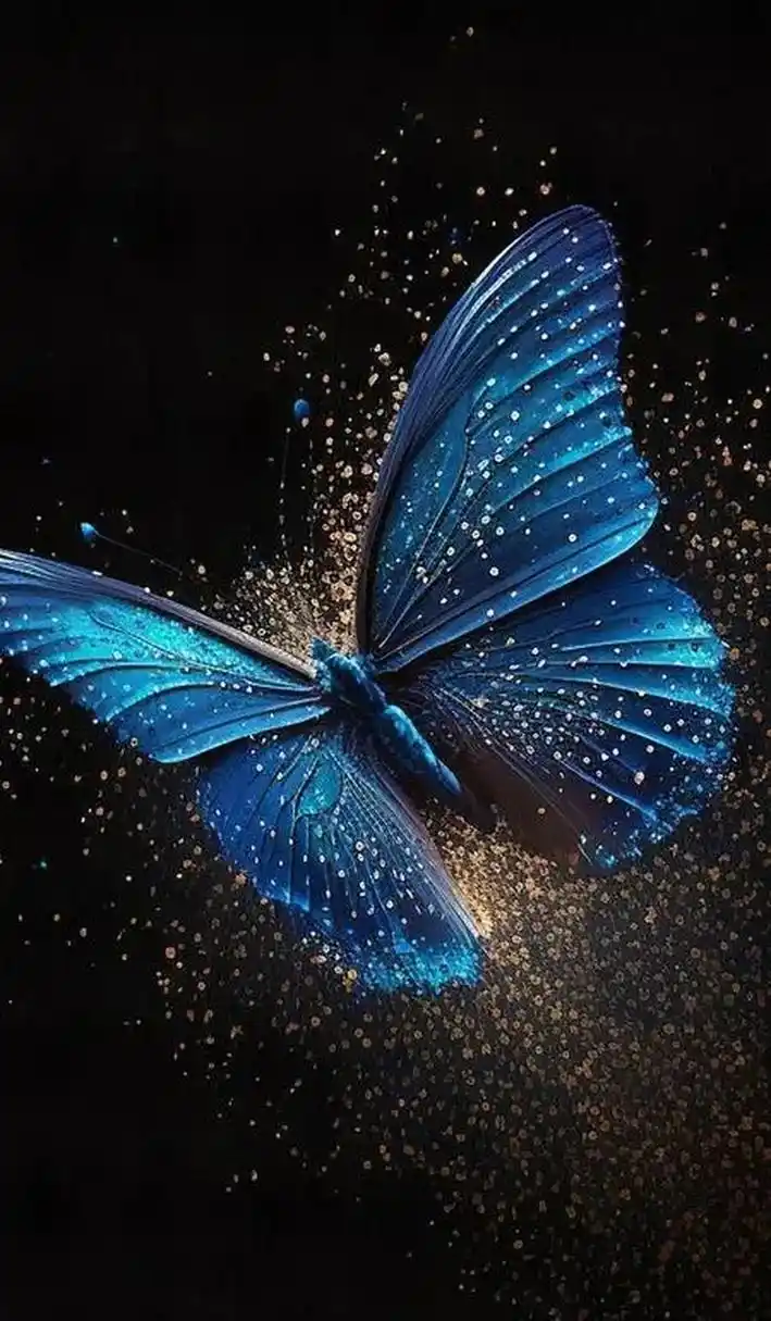 极美之梦幻蝴蝶系列之四