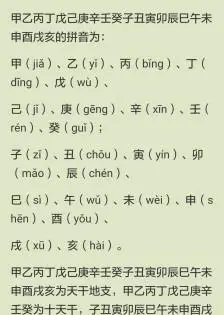 收集   点赞  评论  十二时辰养生法 0 913 linasun  发布到  生活